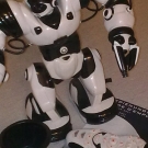 WowWee Robosapien